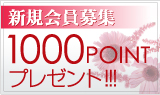 ��������罸1000�ݥ���ȥץ쥼���